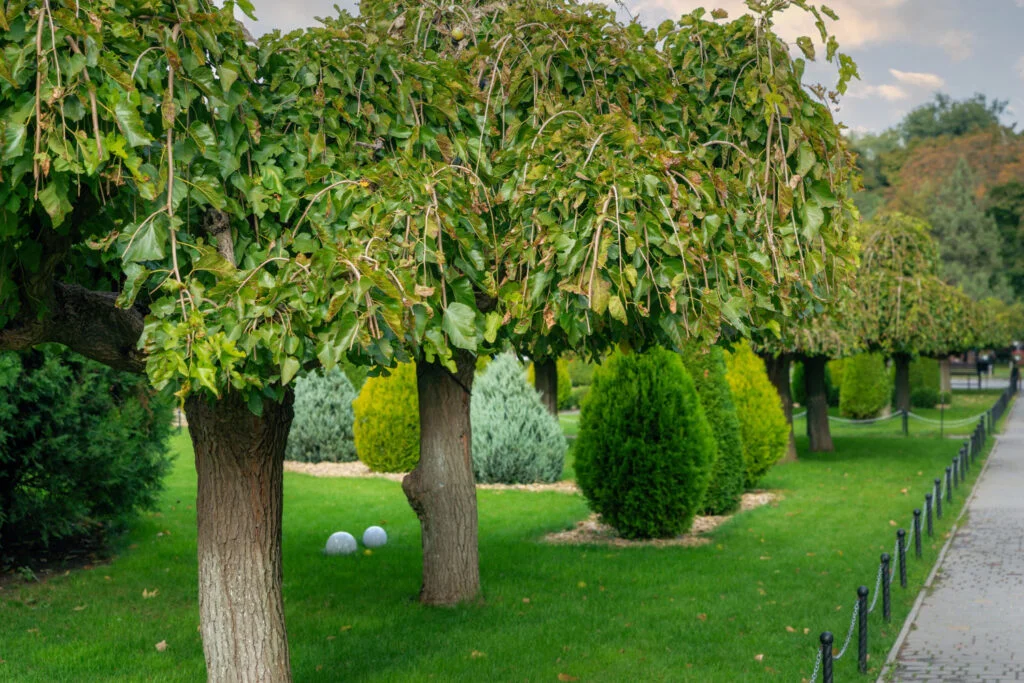 Garden Lab referencia